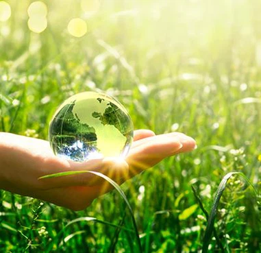 1752890464750 1752890464750